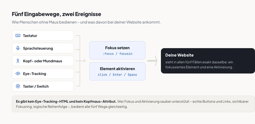 Diagramm mit fünf Eingabewegen auf der linken Seite: Tastatur, Sprachsteuerung, Kopf- oder Mundmaus, Eye-Tracking und Taster. Pfeile führen von allen fünf auf zwei gemeinsame Kästen in der Mitte mit den Beschriftungen Fokus setzen und Element aktivieren. Von dort führt ein Pfeil auf einen Kasten rechts mit der Aussage, dass die Website in allen fünf Fällen dasselbe sieht. Darunter der Hinweis, dass es kein eigenes Markup für Kopfmaus oder Eye-Tracking gibt.