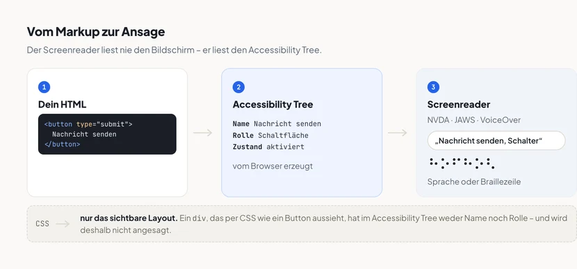 Ablaufdiagramm in drei nummerierten Stufen. Erstens dein HTML mit einem button-Element und dem Text „Nachricht senden“. Zweitens der vom Browser erzeugte Accessibility Tree mit den drei Angaben Name gleich Nachricht senden, Rolle gleich Schaltfläche und Zustand gleich aktiviert. Drittens der Screenreader – NVDA, JAWS oder VoiceOver – mit der Sprachausgabe „Nachricht senden, Schalter“ und darunter derselben Ausgabe als Punktmuster einer Braillezeile. Ein abgesetzter Kasten am unteren Rand zeigt CSS mit einem Pfeil auf den Hinweis, dass CSS nur das sichtbare Layout betrifft und ein div, das wie ein Button aussieht, im Accessibility Tree weder Name noch Rolle hat.